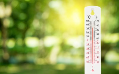 Record temperatures present challenge for the food production sector