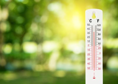 Record temperatures present challenge for the food production sector